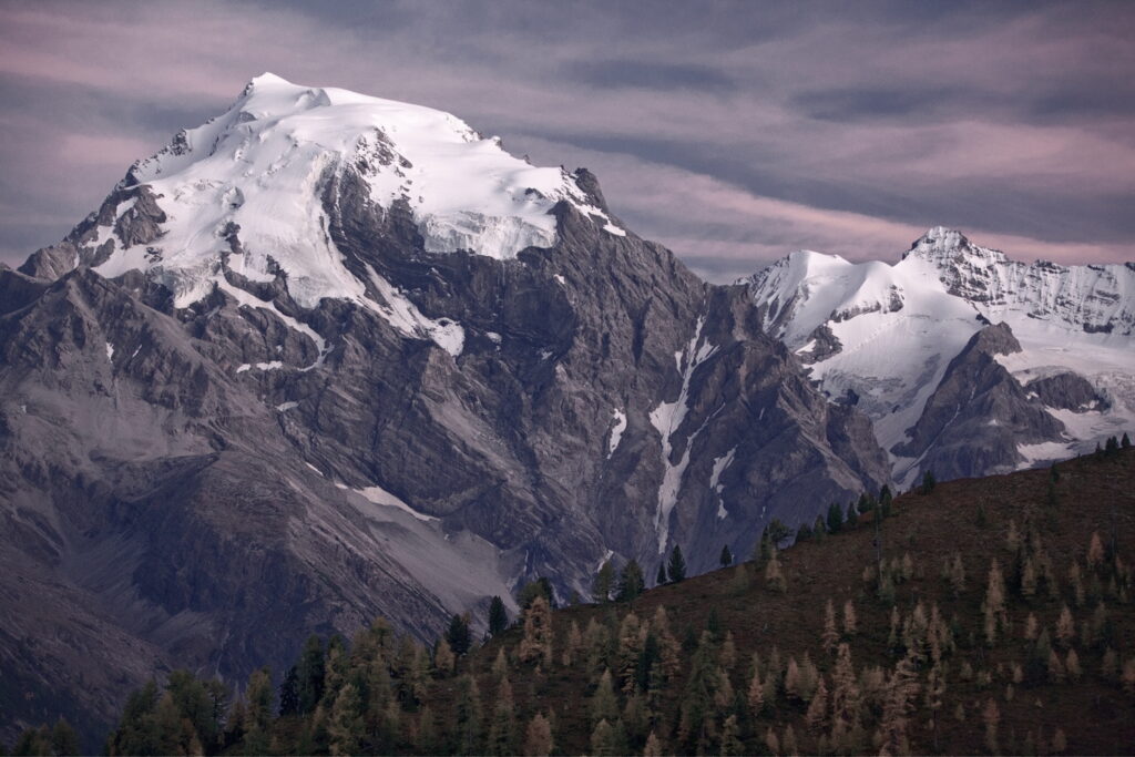 Ortler